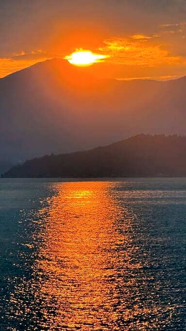 Dream House -Water Lily