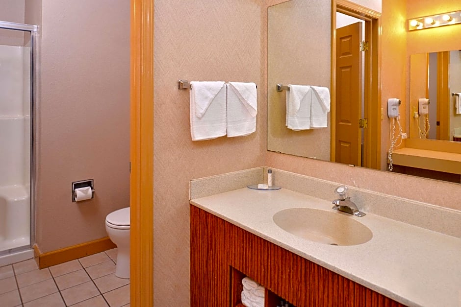 Atlantis Family Waterpark Hotel, an Ascend Collection Hotel