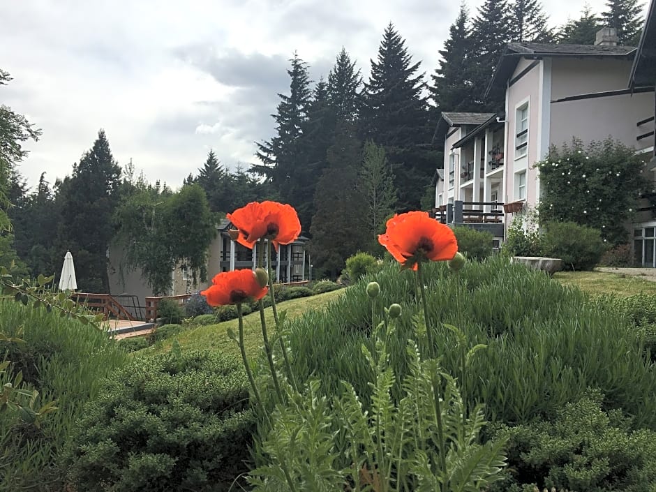 Aldea Andina Hotel&Spa