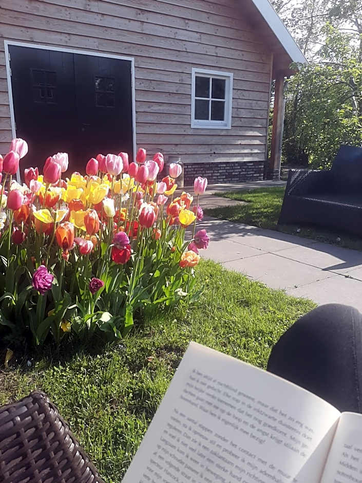 Lodges near the Rhine - Sustainable Residence