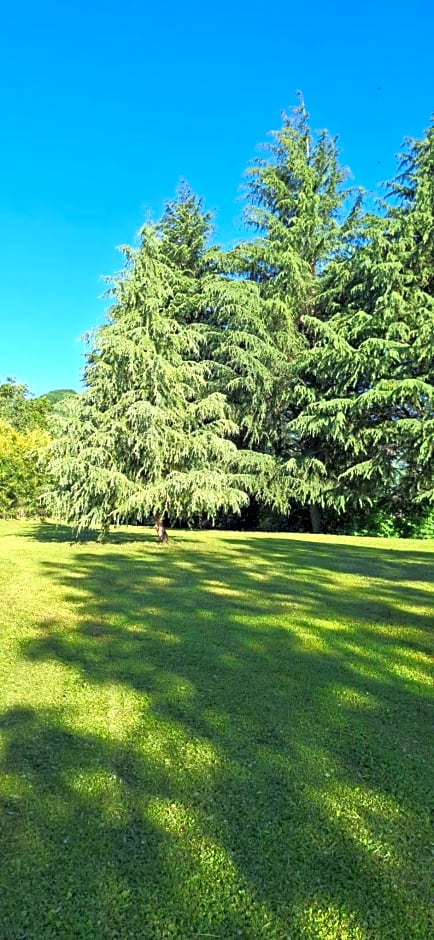 Villa Duno a un passo da Città Alta