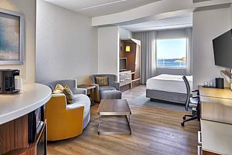 Executive King, Guest room, 1 King, Sofa bed (Hearing Accessible)