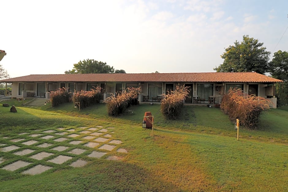 Asiatic Lion Lodge
