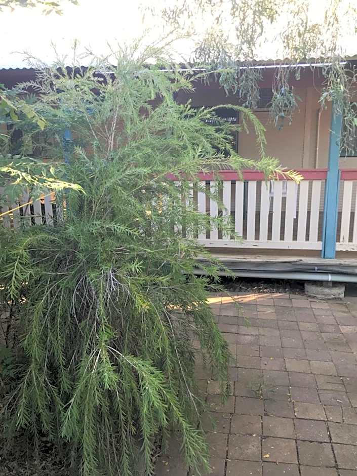 Outback Adventures Backpackers