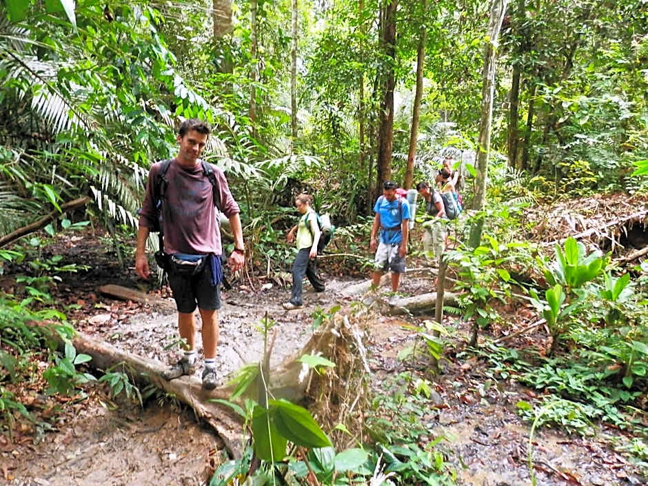 Taman Negara River View Lodge