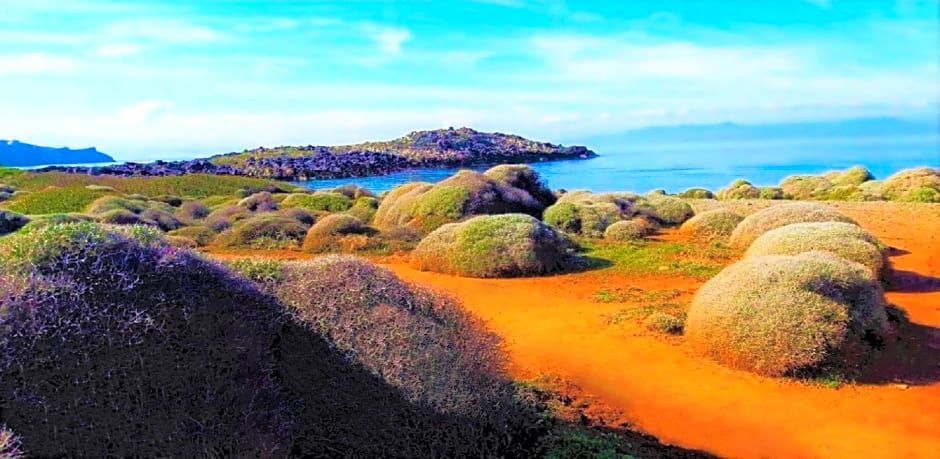 Zorbas Hotel Beach Village