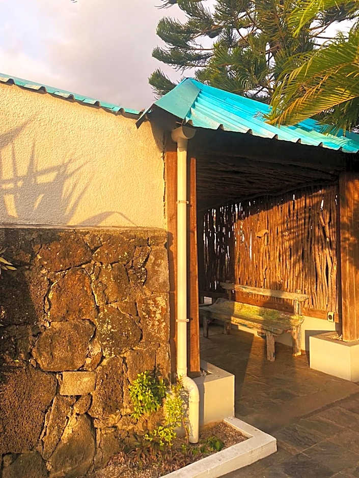 Stella Rina "Adults Only"