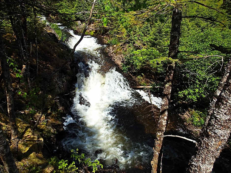The Wilds at Salmonier River