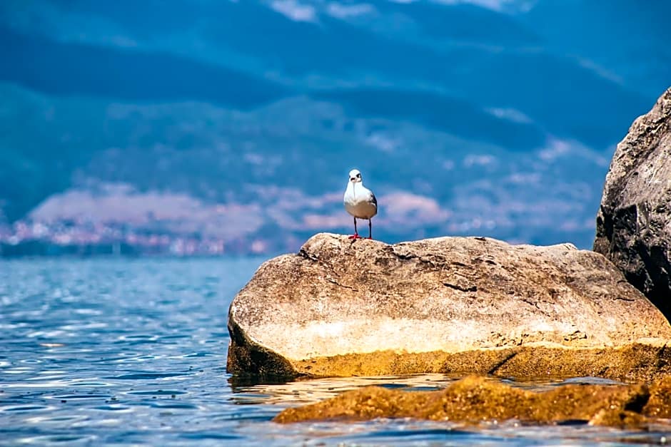 Park Lakeside Ohrid