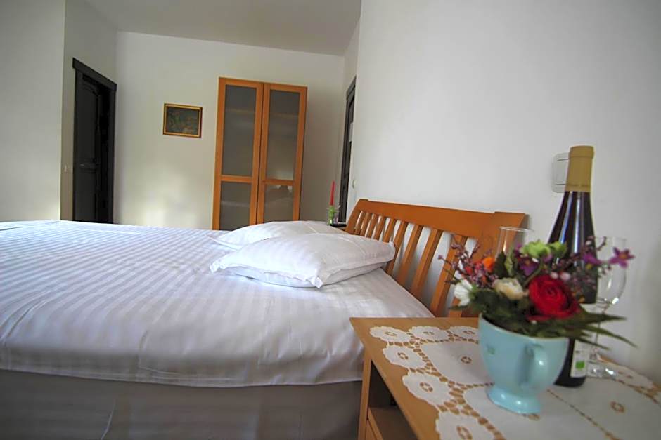 Vila Carpathia