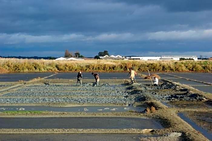 Villa Les Quatre Vents