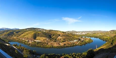 Delfim Douro Hotel