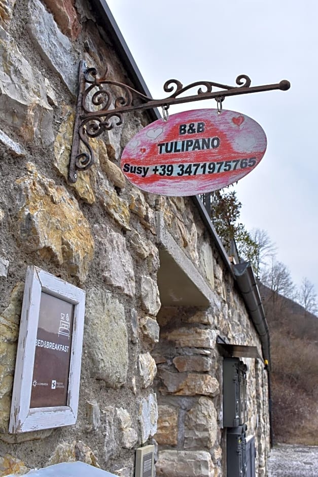 B&B Tulipano