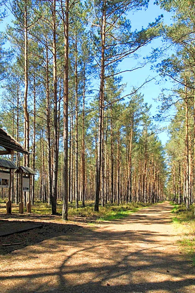 Domki Letniskowe Zygmunt