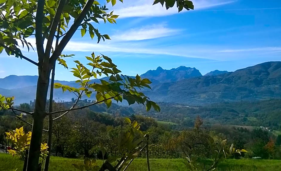 B&B Il Casale delle Pianacce