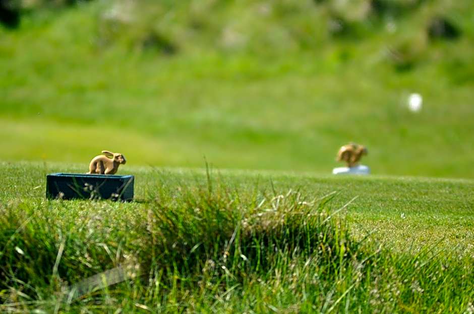 Quinlan & Cooke Boutique Townhouse and QCs Seafood Restaurant