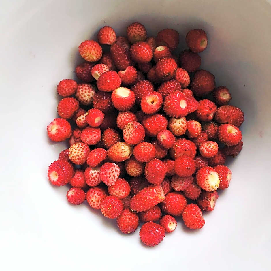 Kreuzstein Bed&Breakfast