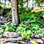 Quality Inn Eureka Springs South