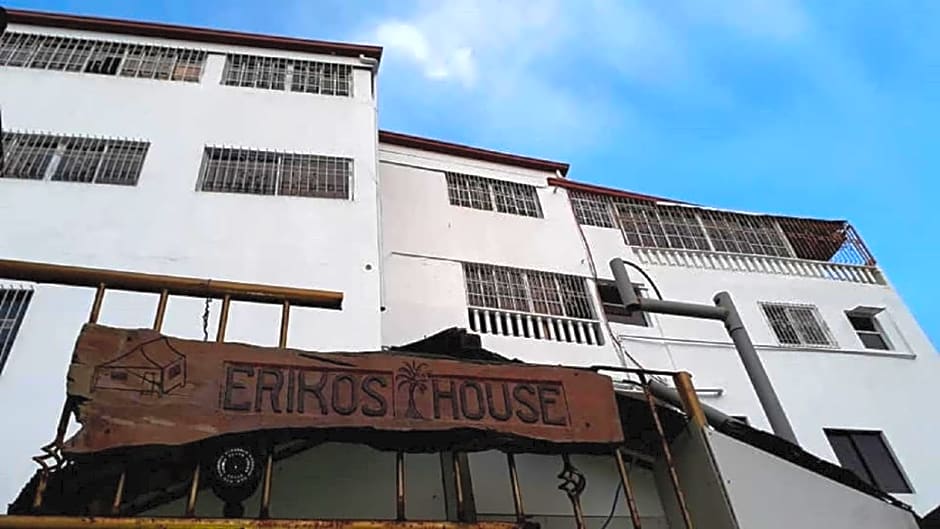 Eriko's House