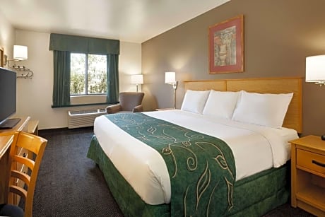 King Room - Mobility Access/Non-Smoking