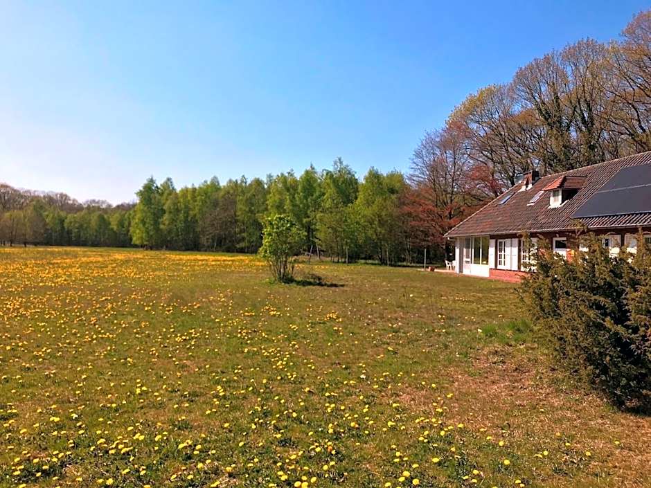 Unieke vakantiewoning met jacuzzi in de natuur