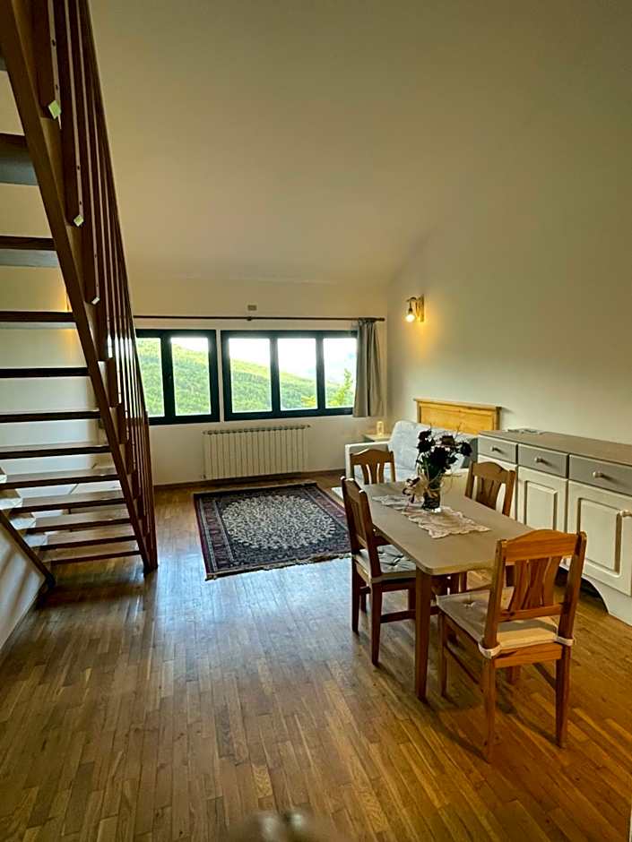 Residenza Riva Wellness Apartment Spa