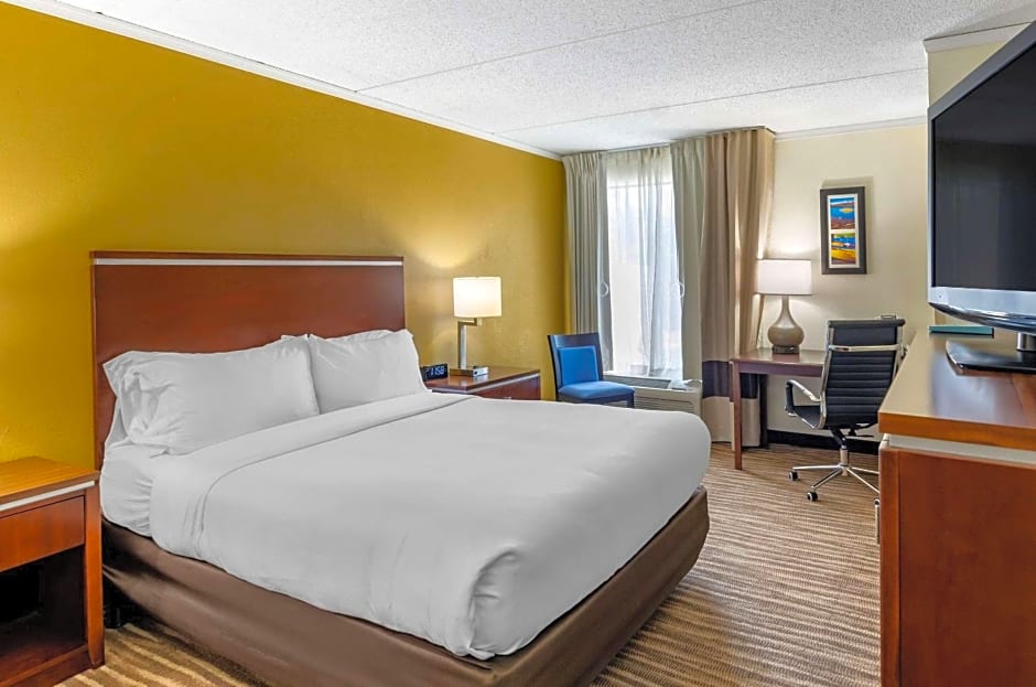 Comfort Inn Roanoke Civic Center