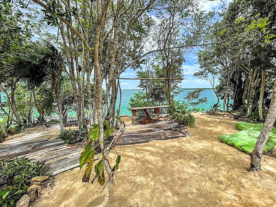 Bufo Alvarius Sanctuary Bacalar