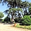 Le Domaine de Fraissinet