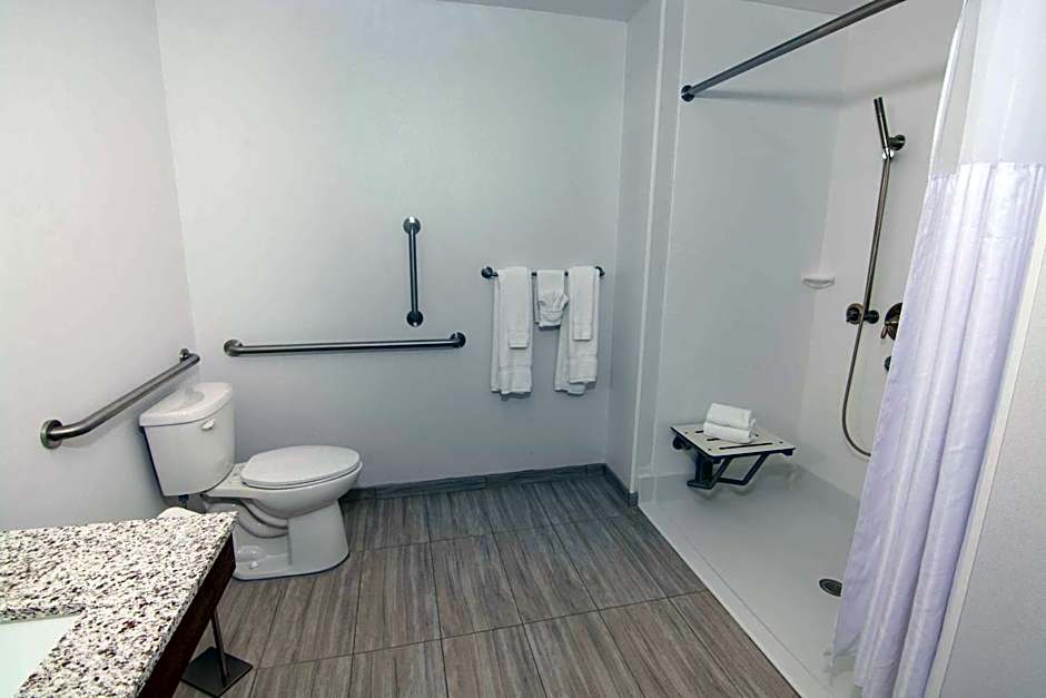 Hilton Garden Inn Tampa Suncoast Parkway