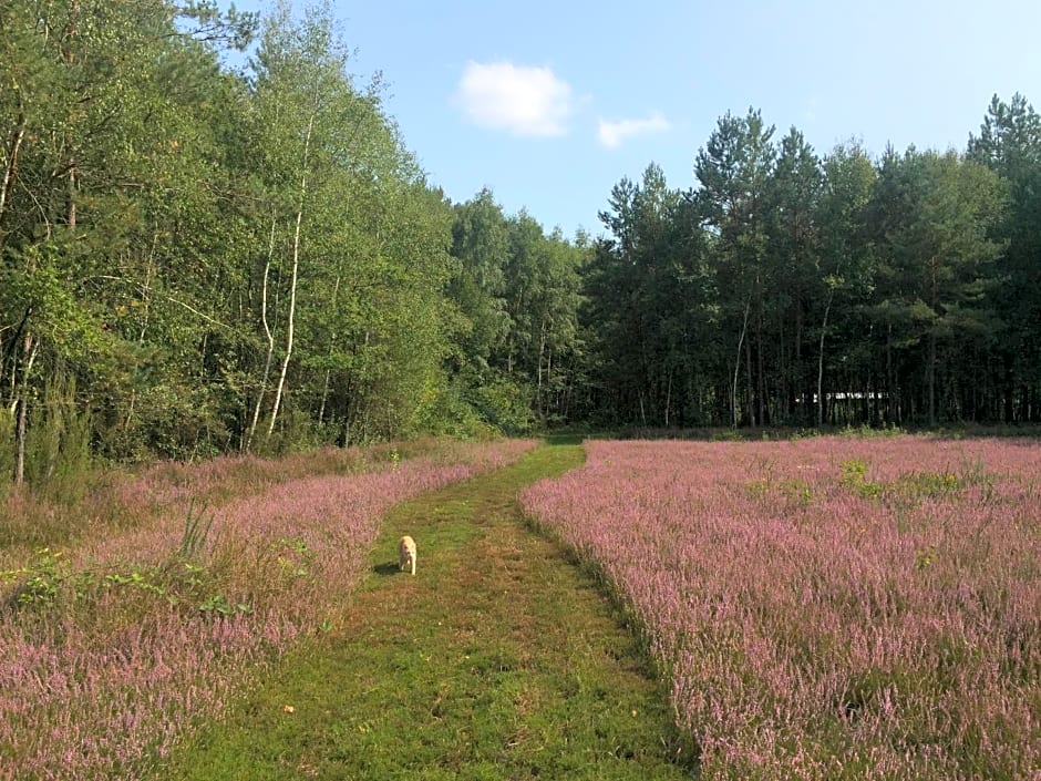 Roulottes du Chalet des Pins