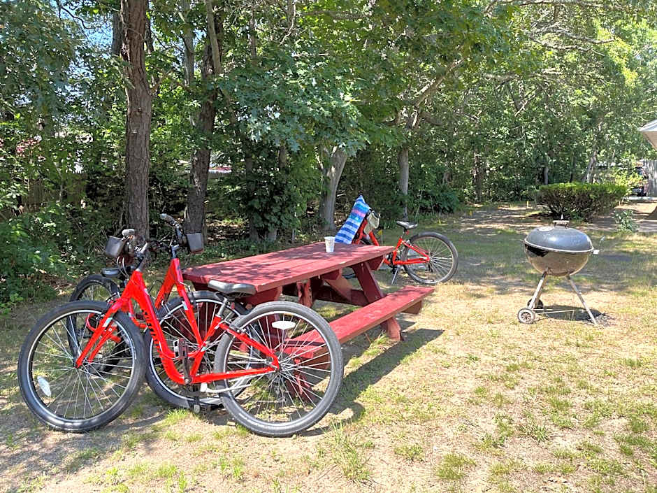 Viking Shores Motor Inn