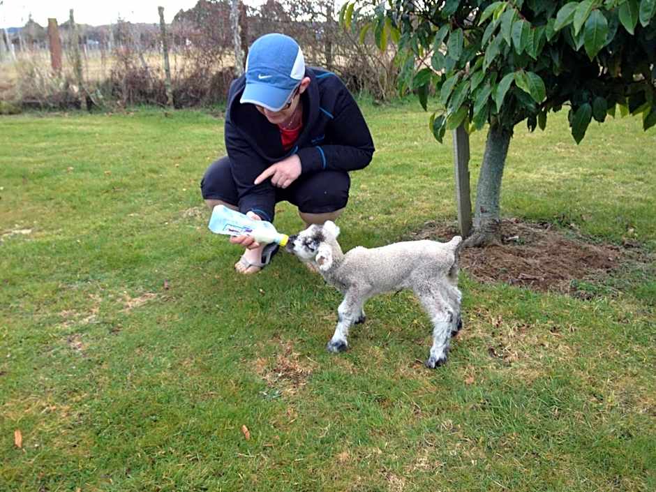 Ruapehu Country Lodge