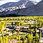 Nubra Ecolodge