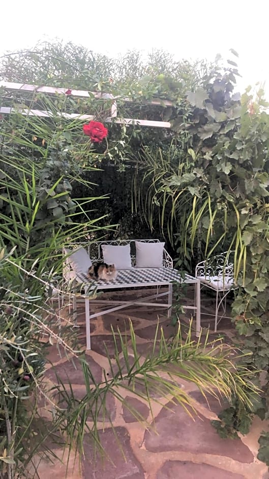 Sel d Ailleurs, Ouirgan - adults only