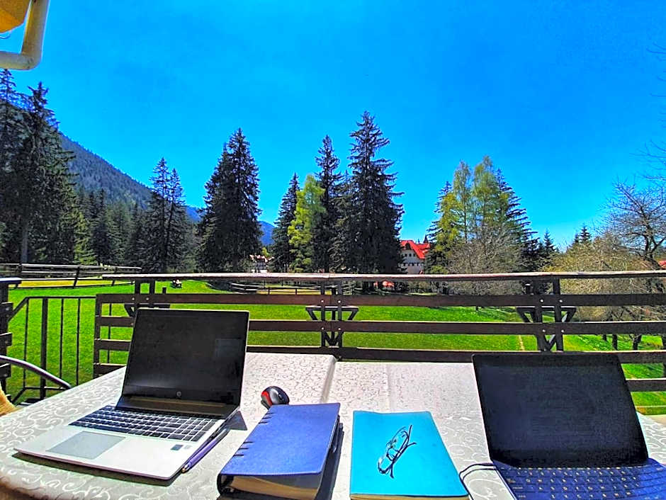 Hotel Casa Viorel jacuzzi & saunas