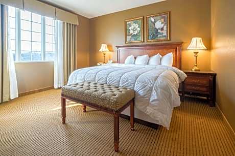 Executive King Suite with Sofa Bed