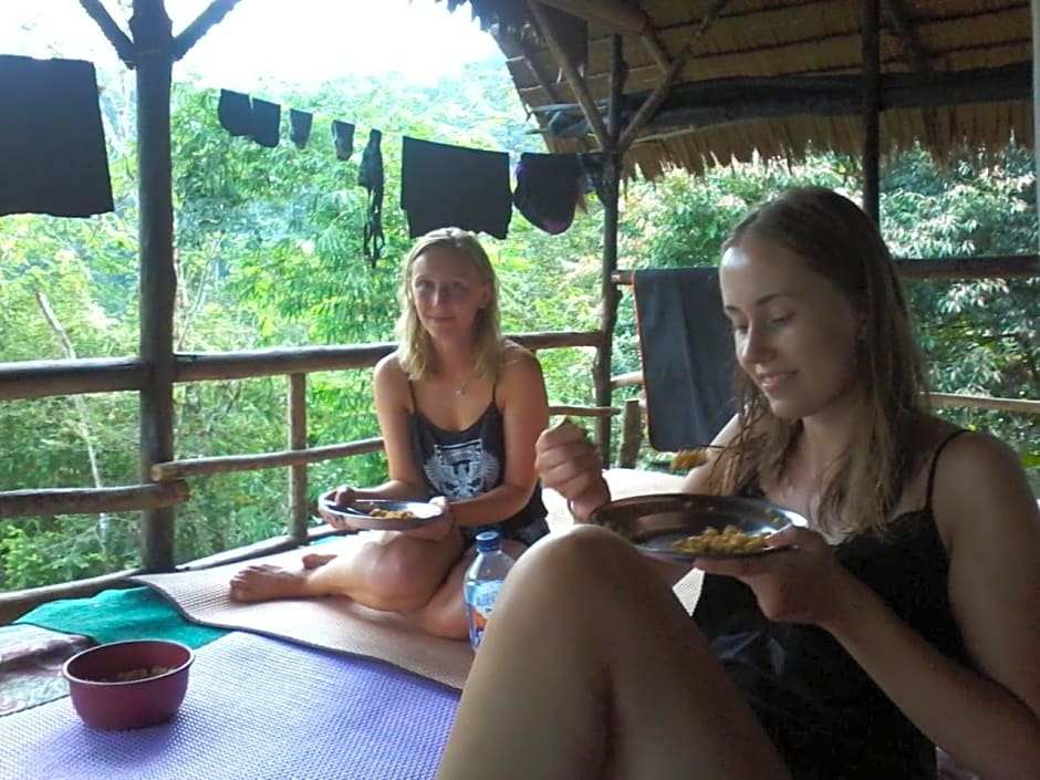 ORANGUTANTREKSUMATRA & LOVELY JUNGLE LODGE only book IF you are treking with us