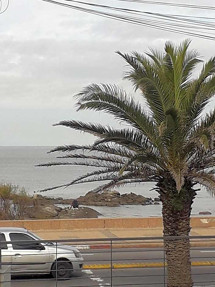 Regency Rambla Design Apart Hotel