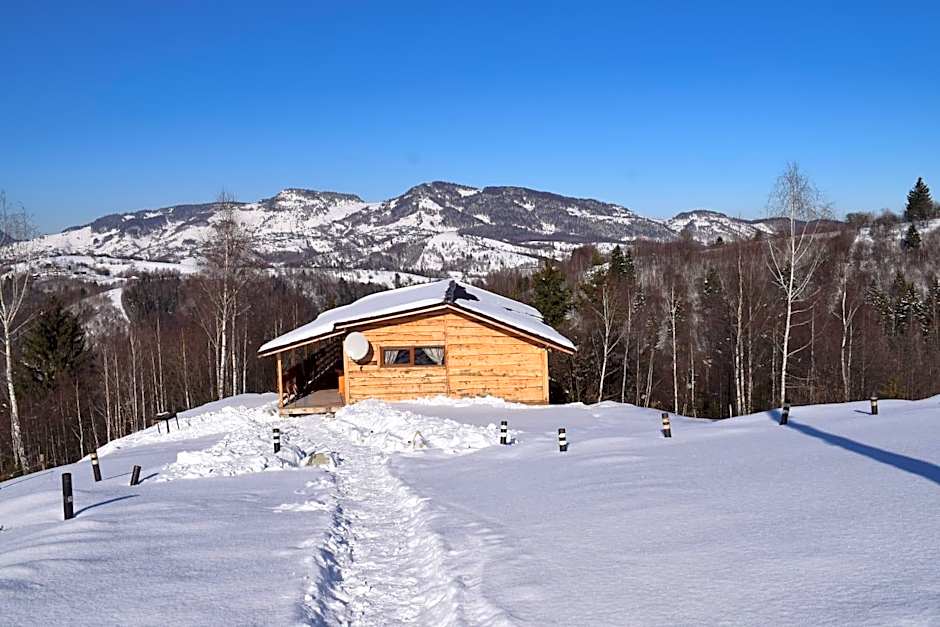 Cabana doi mesteceni