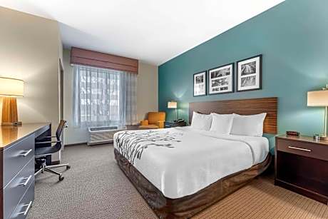 1 King Bed, Nonsmoking, Accessible