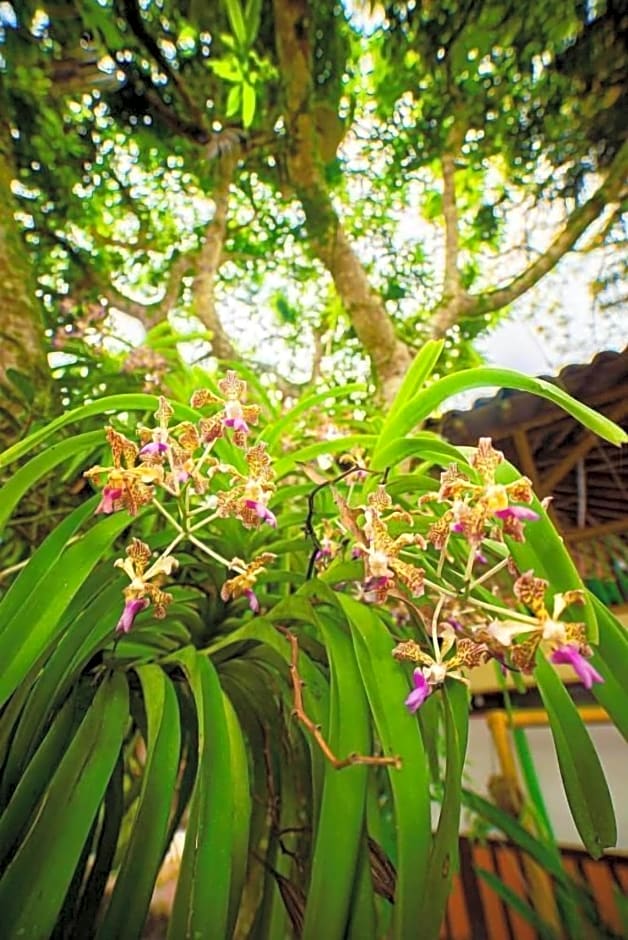 Eco Hotel Las Palmas