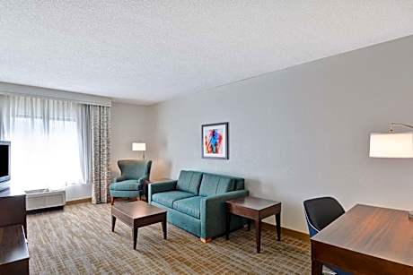 Large King Studio Suite - Non-Smoking