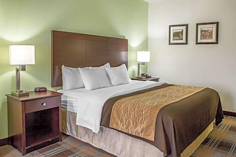 King Room - Disability Access/Non-Smoking