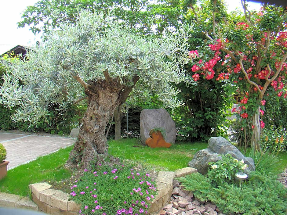 Obermaratscher Apartments Residence