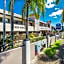 Cairns City Palms