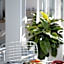 Hotel Venere Azzurra