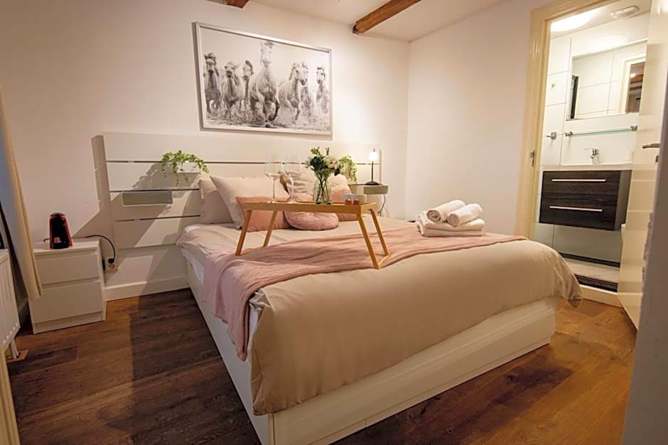 Beautiful DutchHouse Centrum