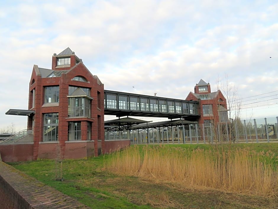 Jacky's Place – Helmond, SD