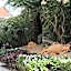 Hotel Garden